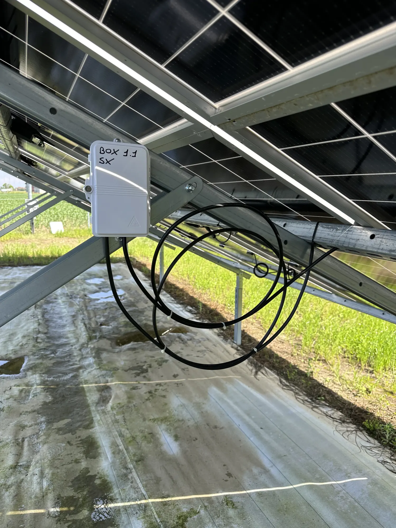 Fibra Ottica, foto 10